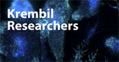 Image of Krembil research