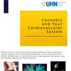 Cannabis and Your Cardiovascular System