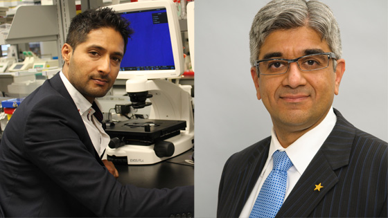Image of Drs. Mohit Kapoor and Nizar Mahomed 