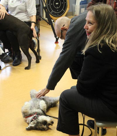 the therapy dog enjoys a belly rub from an inpatient
