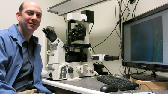Dr. Jeremy Sivak, Scientist, Toronto Western Research Institute