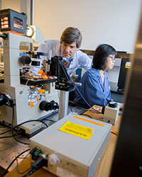 cardiologist and scientist,  Dr. Michael Gollob, and his research assistant Qiuju Li