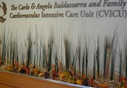 The Cardiovascular Intensive Care Unit (CVICU)