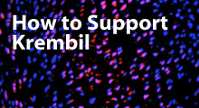 How to Support Krembil