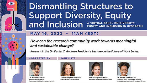 Dismantling Structures to Support Diversity, Equity, and Inclusion