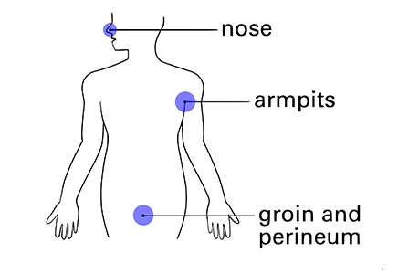 illustration of human torso with location of MRSA swabs indicated