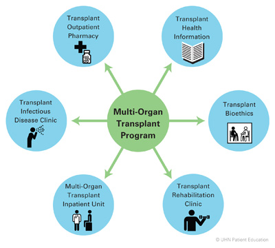 MOT Spacialized Transplant Programs
