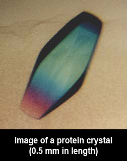 Picture of a Protein Crystal