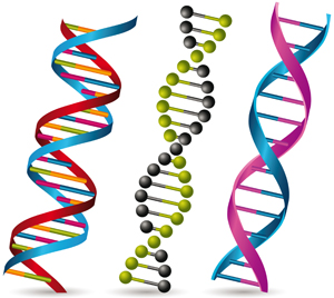 Picture of DNA