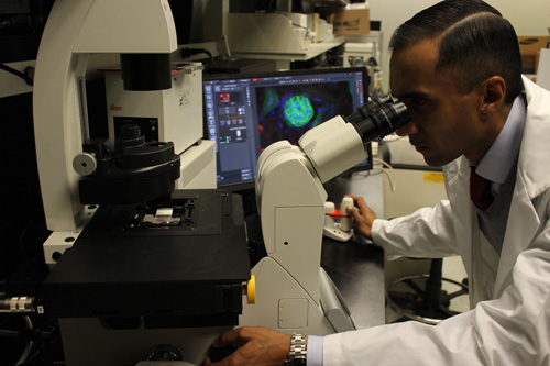 Image of Dr. DaCosta looking through microscope