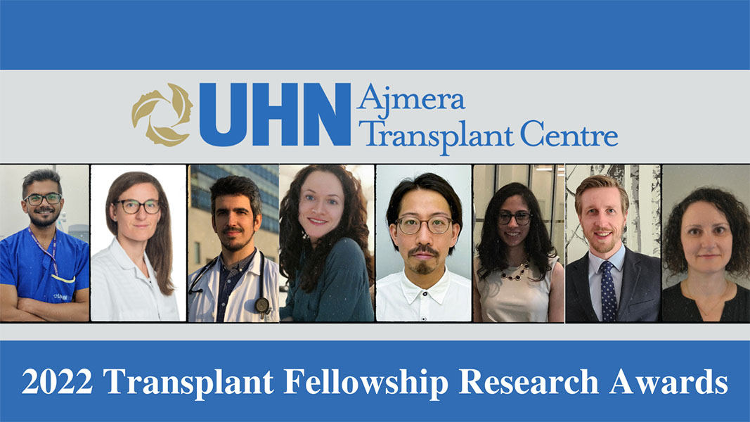 Transplant Fellowship Research Awards