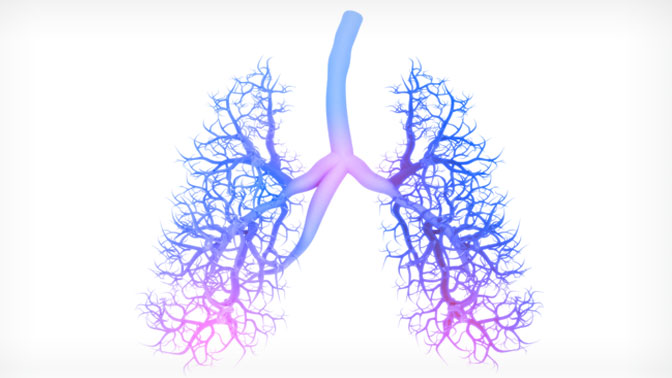 lungs branching 