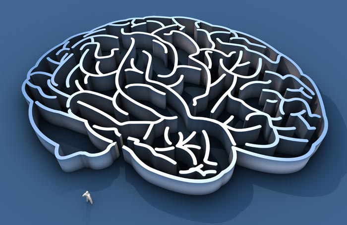 brain as a maze