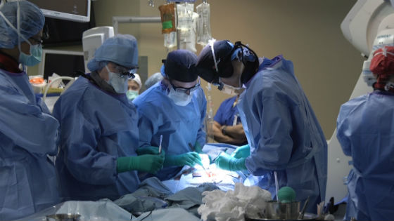 Vascular Sergeons in operating room