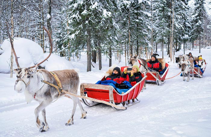 People riding in sleigh pulled by reindeer