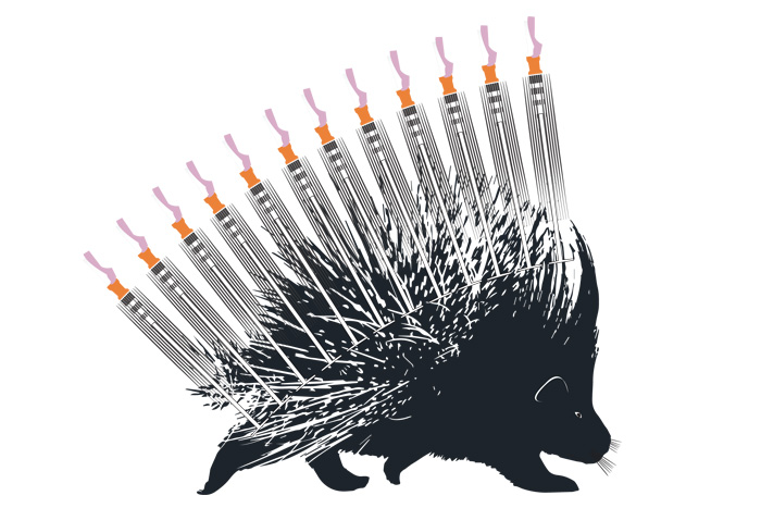 Porcupine with syringes as needles 