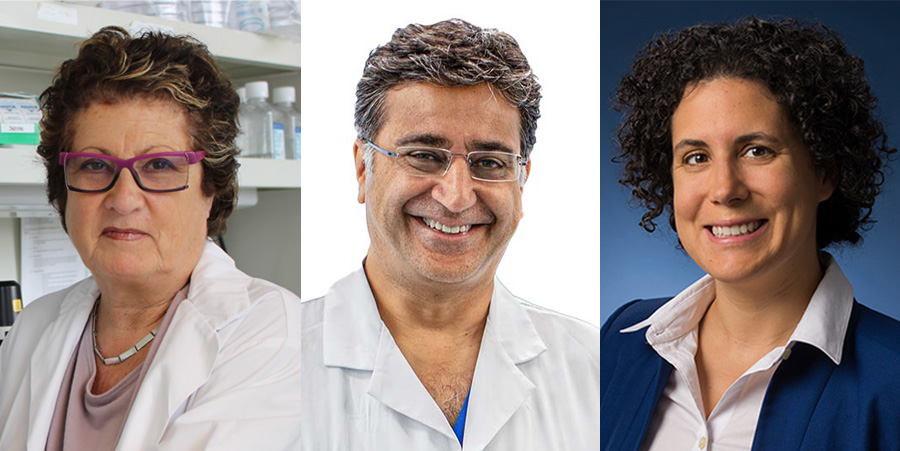 Drs. Eleanor Fish, Shaf Keshavjee and Andrea Iaboni