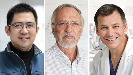 Drs. Gang Zheng, Brian Wilson and Jonathan Irish