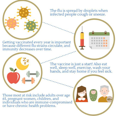 Flu reminder infographic