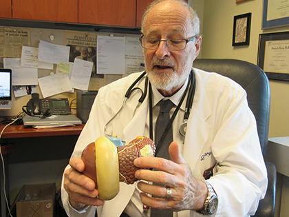 Dr. Levy at his desk holding model of organ