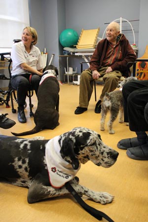 Therapy dogs 