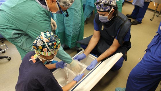 Image of surgeons turn to preparing the donor arm to attach to the patient