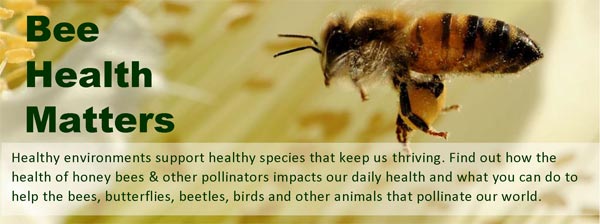 bee health matters