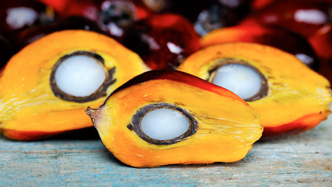 Palm oil fruit cut in half 