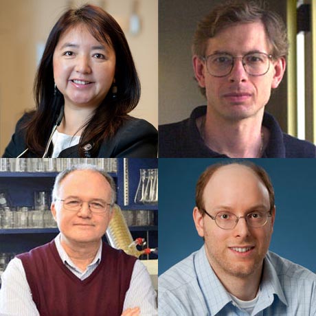 Image of UHN researchers awarded 