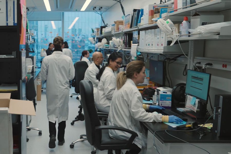 UHN technicians working on their computers at the Division of Clinical Laboratory Genetics