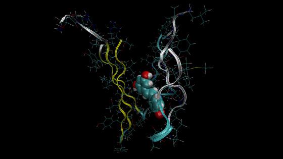 Image of an amyloid protein clump