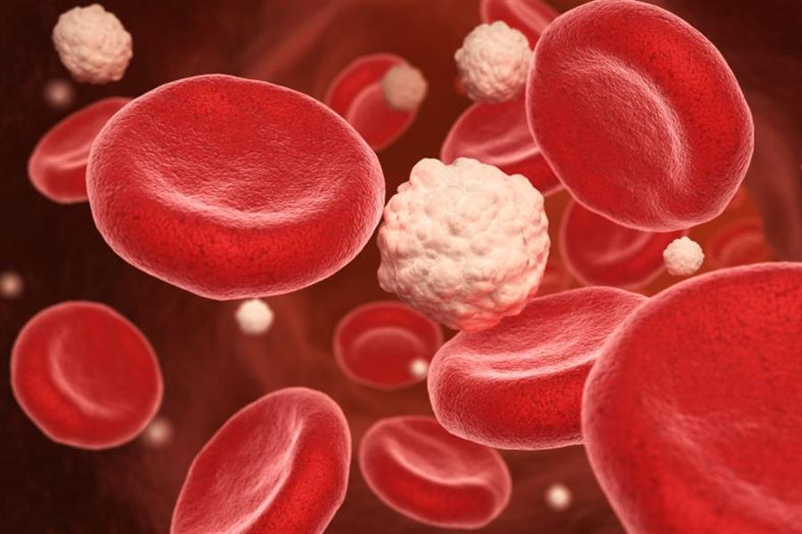 Stock image of red and white blood cells
