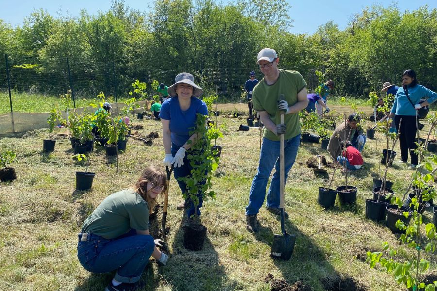 TeamUHN members tree planting