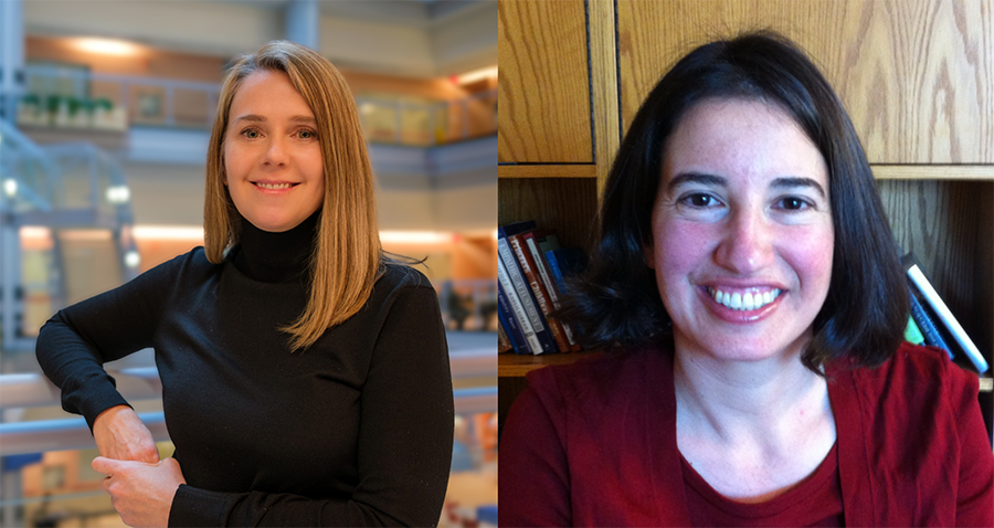 Drs. Sarah Hales and Rinat Nissim