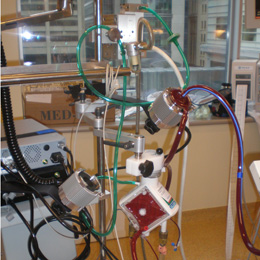 Perfusionist Pump Image