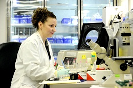 Image of the lab