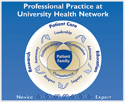 Nursing Professional practice images