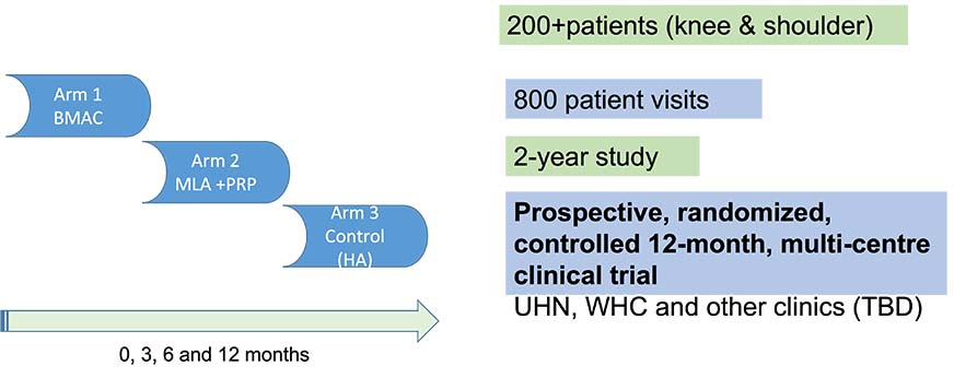 Diagram of injection schedule over 3, 6 and 12 months. 200+ Patients (knee and shoulder). 800 patient visits. 2-year study. Prospective, randomized, controlled 12-month, multi-centre clinical trial.