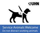 Icon of Service Animals