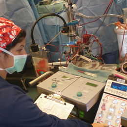 Perfusionist At The Pump image